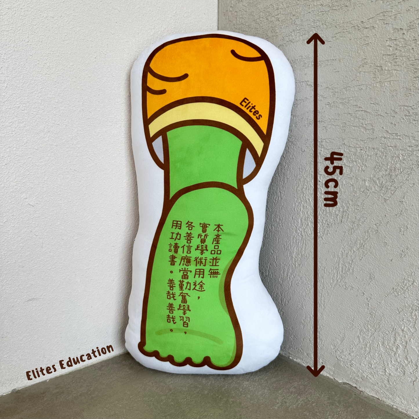 臨急抱佛腳攬枕