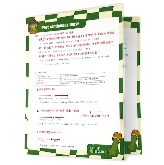 Past continuous tense